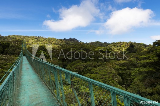 Picture of Suspended bridge over the canopy of the trees in Monteverde Costa Rica Central America